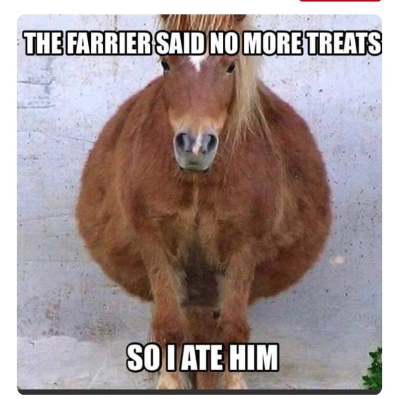 Fun - Picture 1 of 1